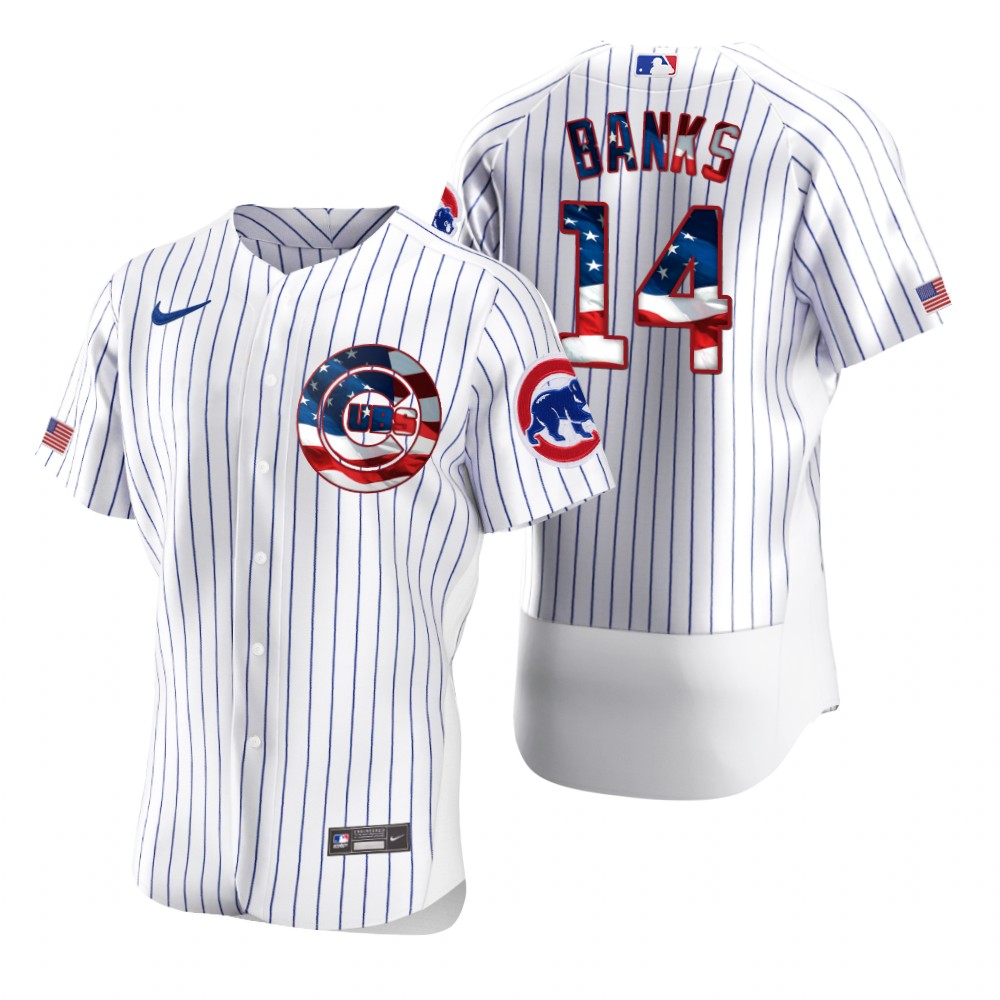 Chicago Cubs 14 Ernie Banks Men Nike White Fluttering USA Flag Limited Edition Authentic MLB Jersey